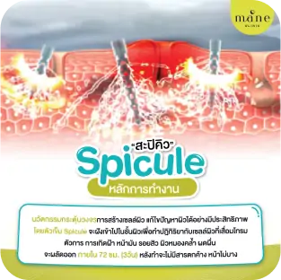 หลักการทำงาน spicule