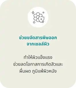 ช่วยขจัดสารพิษออกจากเซลล์ผิว