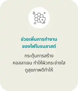 ช่วยเพิ่มการทำงานของไฟโบรบลาสต์