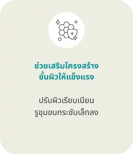 ช่วยเสริมโครงสร้างชั้นผิวให้แข็งแรง